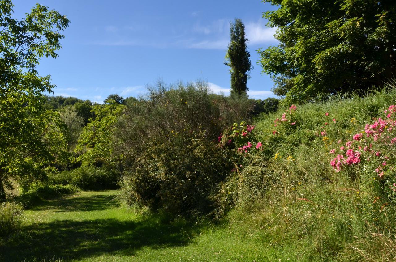 Agriturismo Villa Mozart Nel Verde Gubbio Exterior photo
