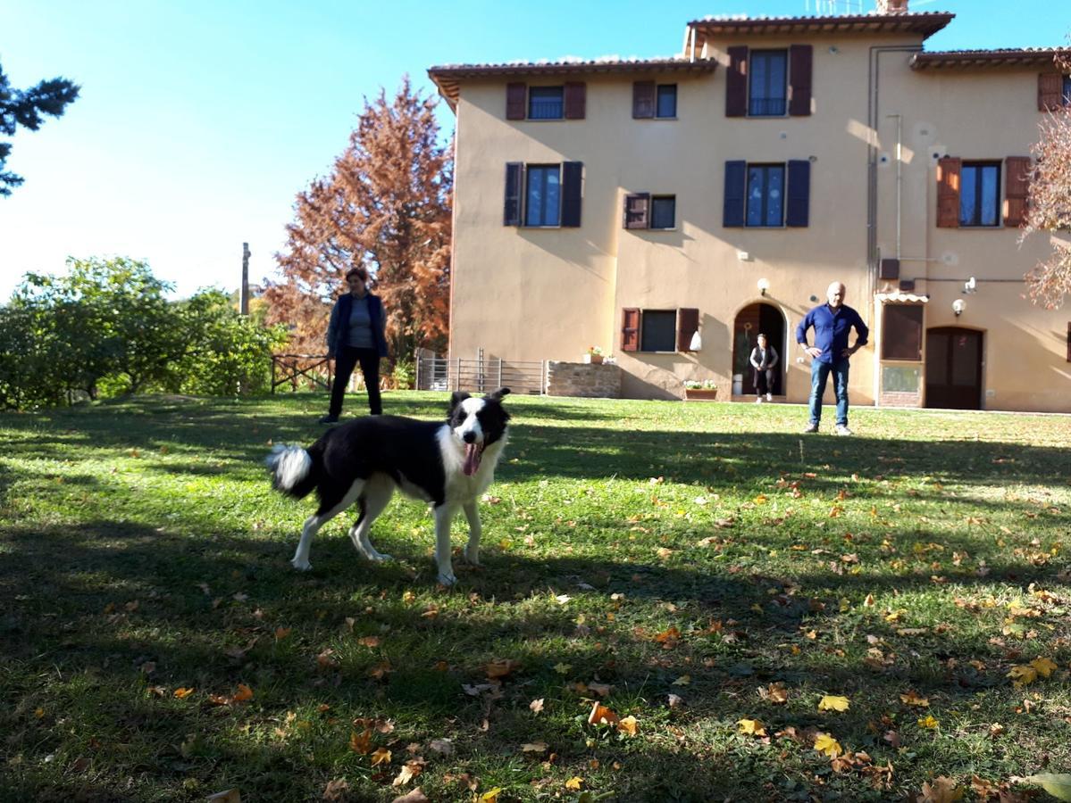 Agriturismo Villa Mozart Nel Verde Gubbio Exterior photo