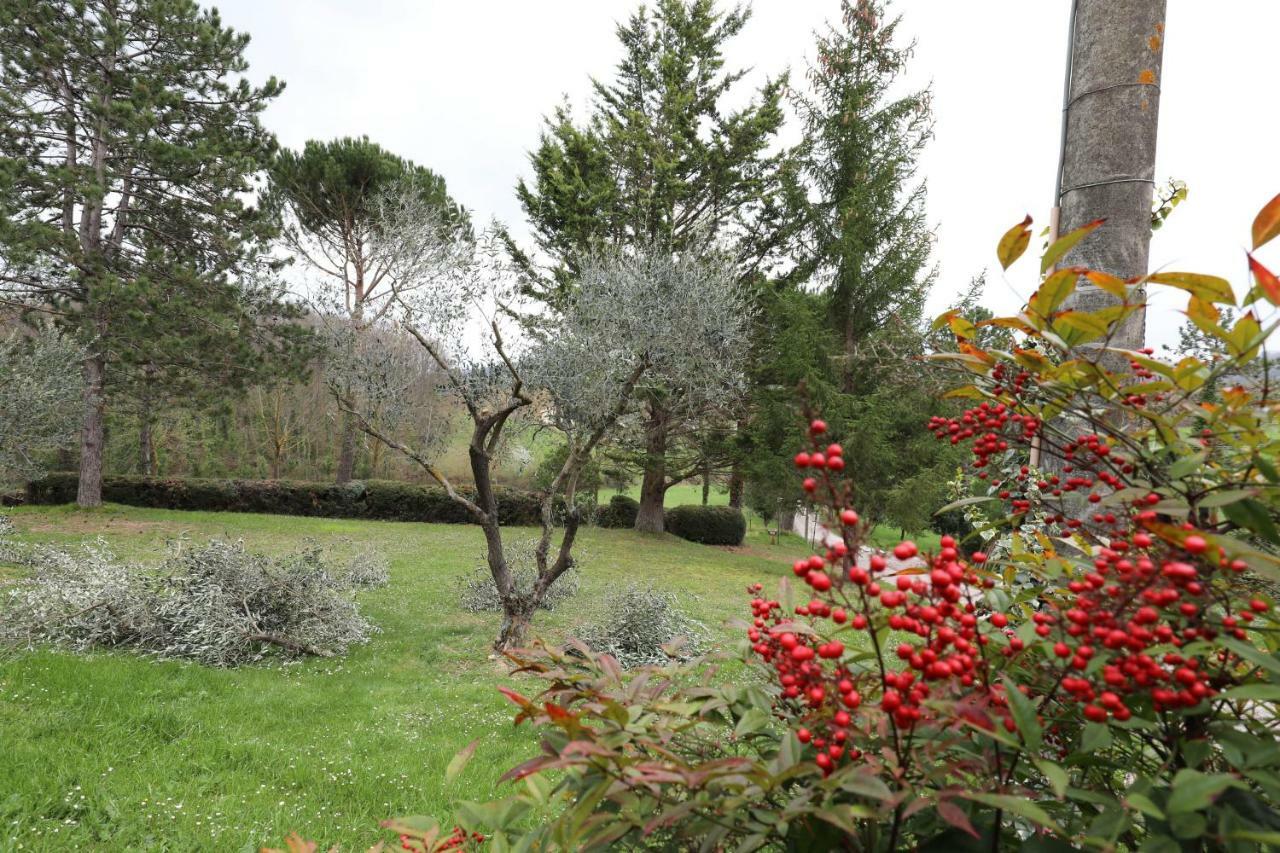 Agriturismo Villa Mozart Nel Verde Gubbio Exterior photo